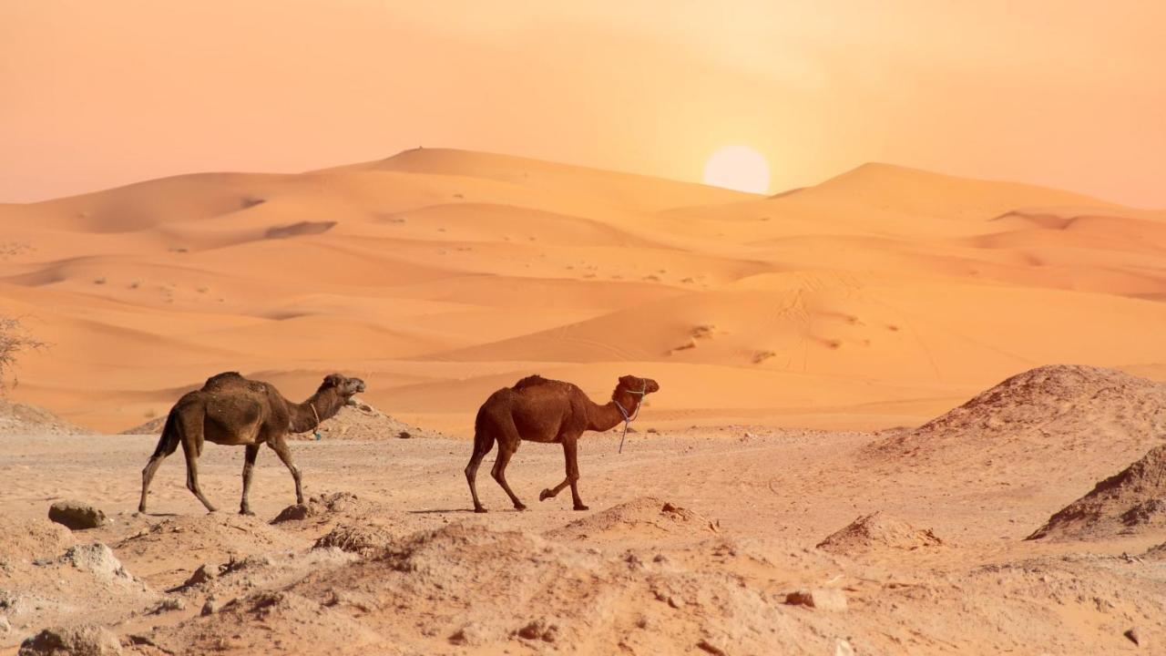 Oasis Luxury Camp Hotel Merzouga Exterior photo